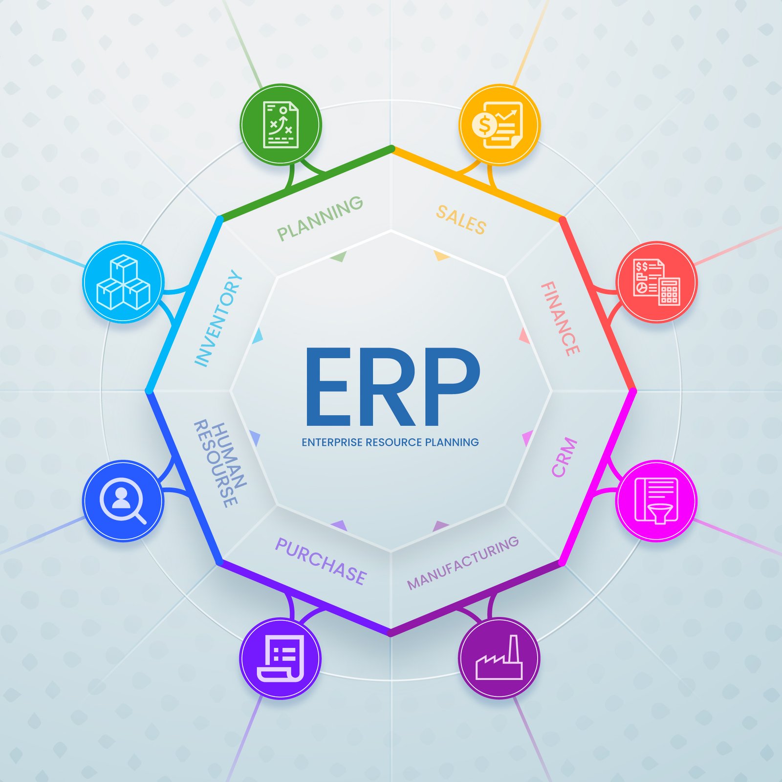 Custom Software/ERP